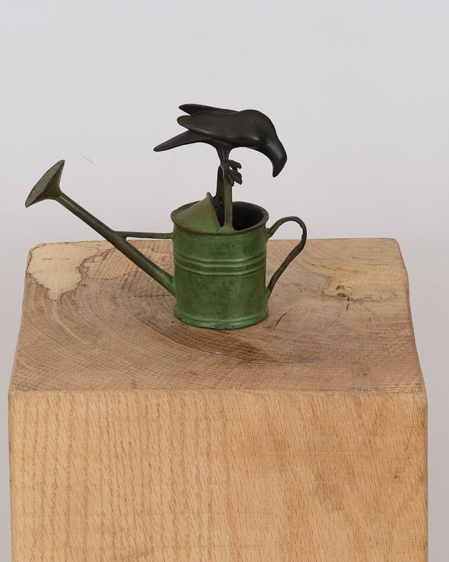 The crow and the watering can