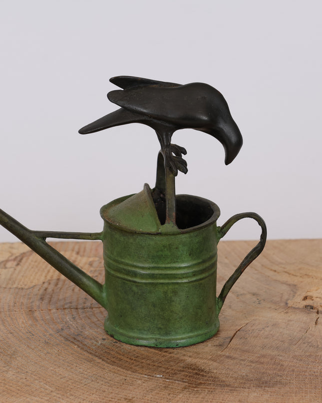 The crow and the watering can