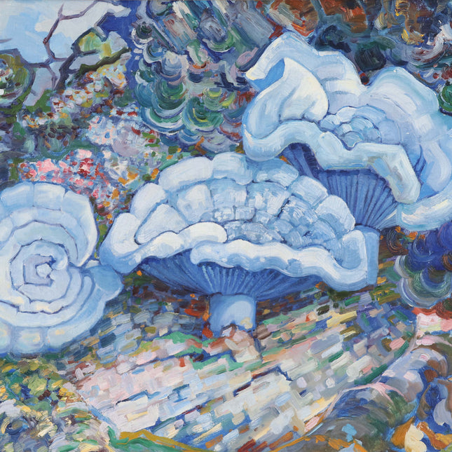 Blauwe paddenstoelen