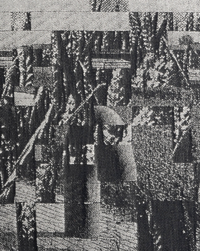 Barbara Broekman (1955) Hollands Landschap