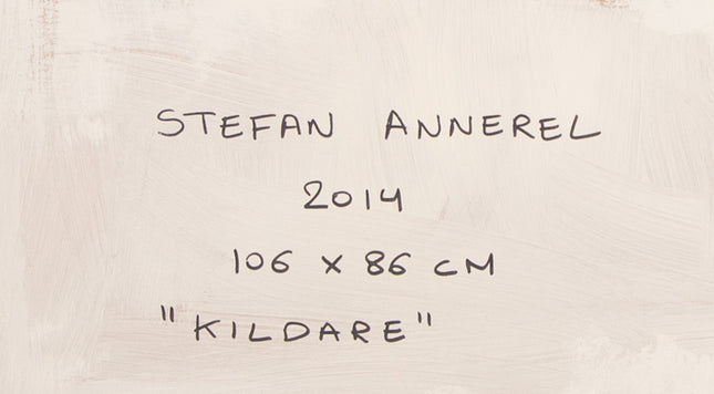 Stefan Annerel (1970) Kildare